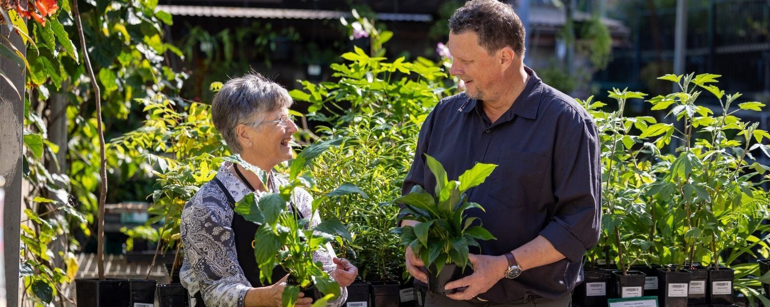 Two people holding plants in nursery pots among a green jungle of plants for sale