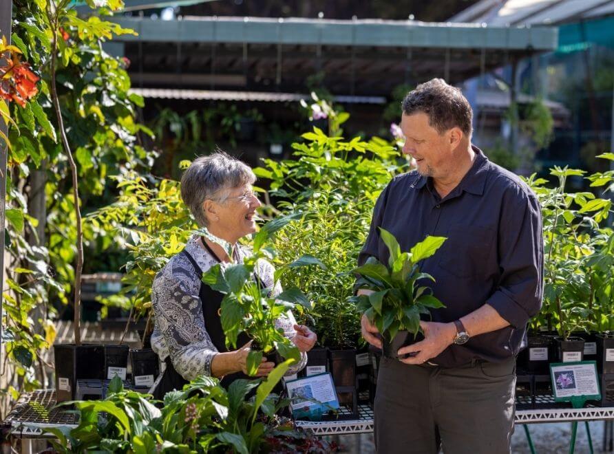 Two people smiling and holding plants in nursery pots