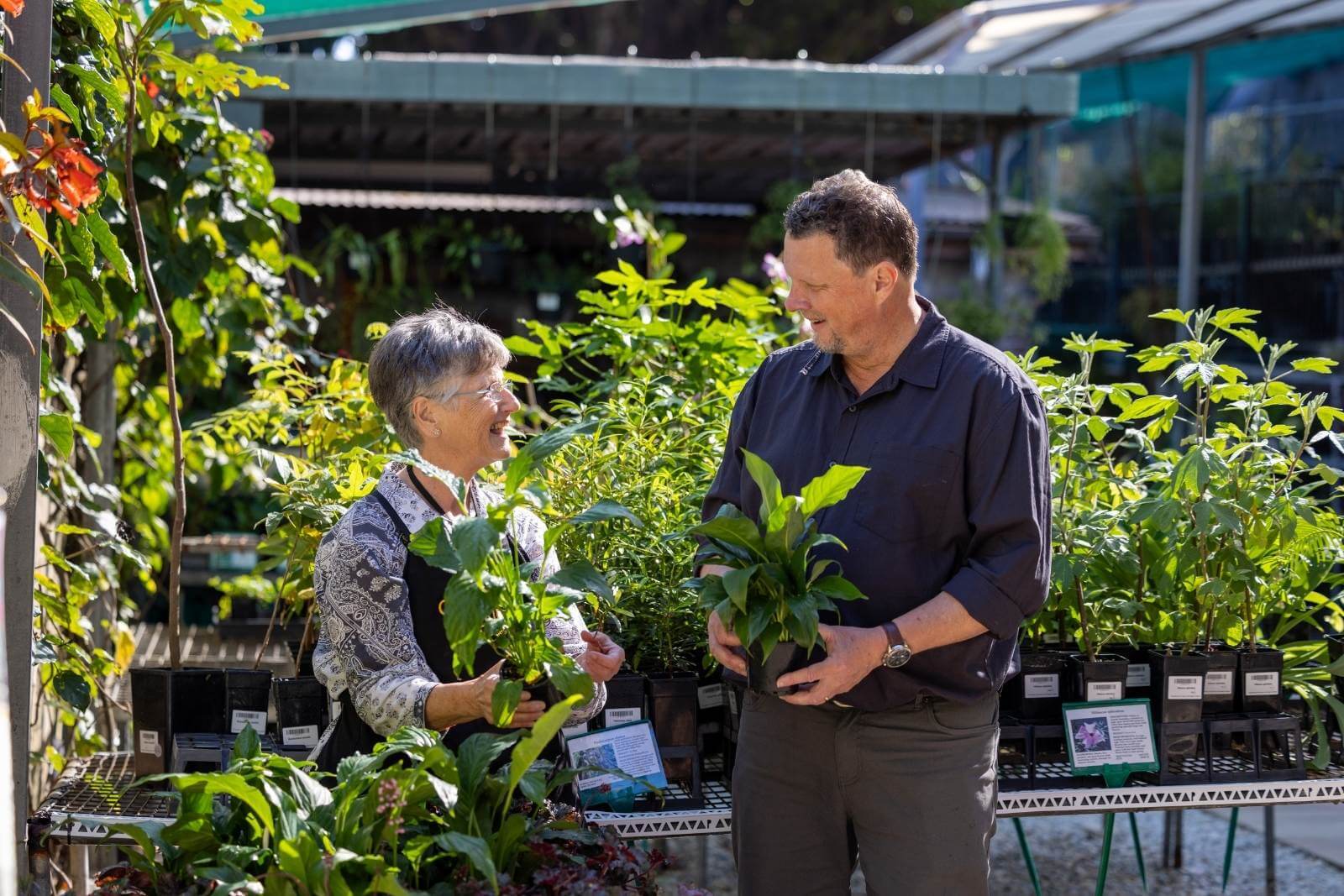 Two people smiling and holding nursery pots with plants