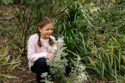 events-budding-botanists-sydney-thumbnail-496x372.jpg