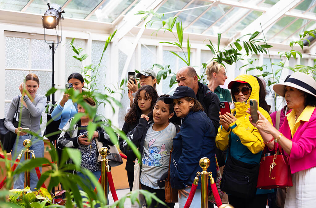 Crowds coming to see Putricia