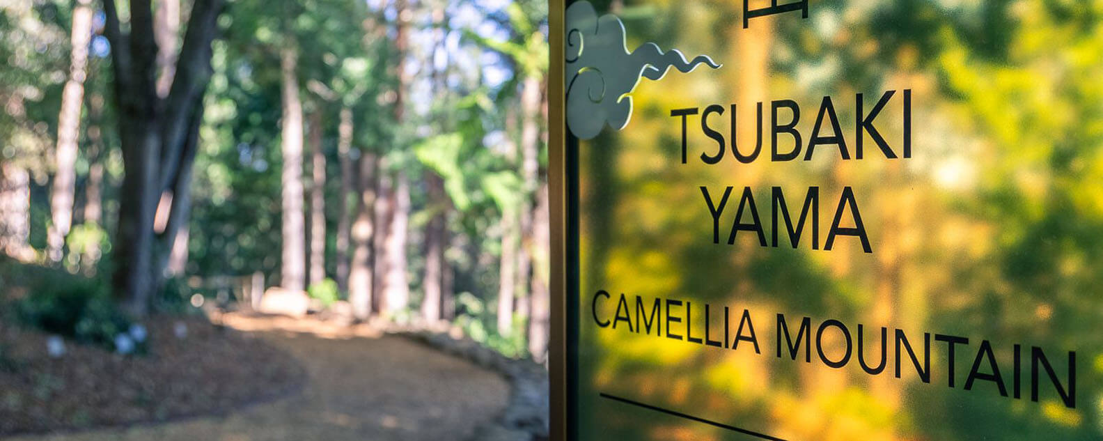 Tsubaki Yama - step slowly. Breathe deeply. Open your senses to new discoveries.