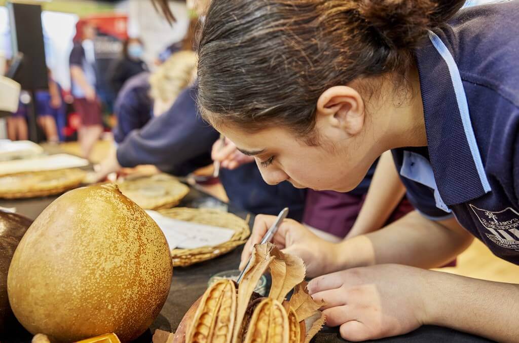 education-Australian Museum - Photo James Horan (132)-1024x676.jpg