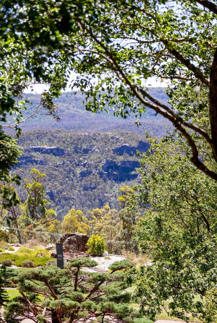 View of mountains and bushland from shady garden path