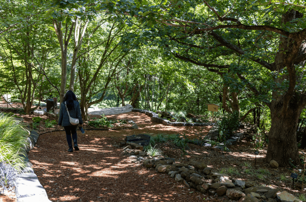 Camellia Mountain walk