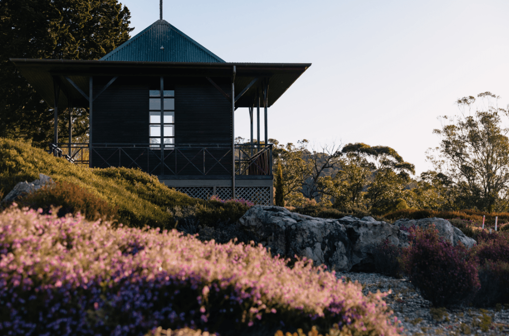 Ferranti Shelter in Heath and Heather garden