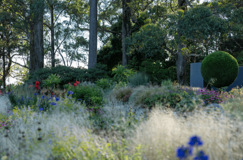 Formal garden ornamental grasses