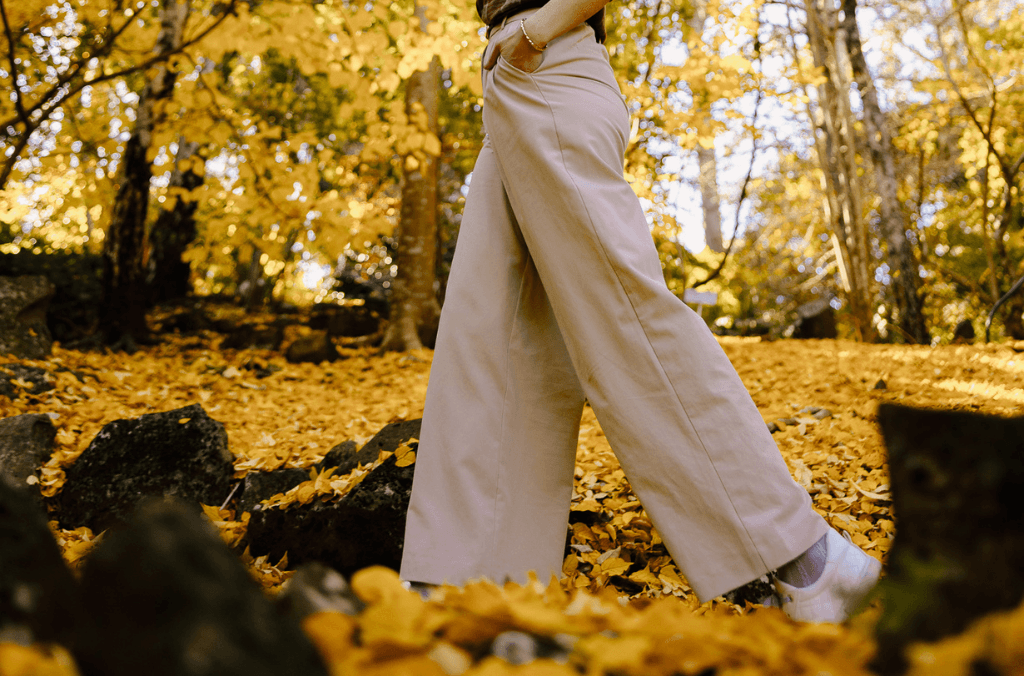 Gingko leaves at Mount Tomah