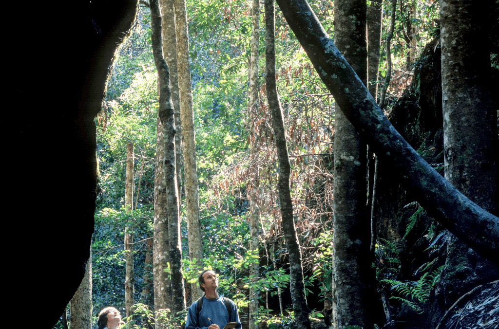 National-Tree-Day- Celebration-1024x676-F&F-Event-Body-thumbnail-1024x676