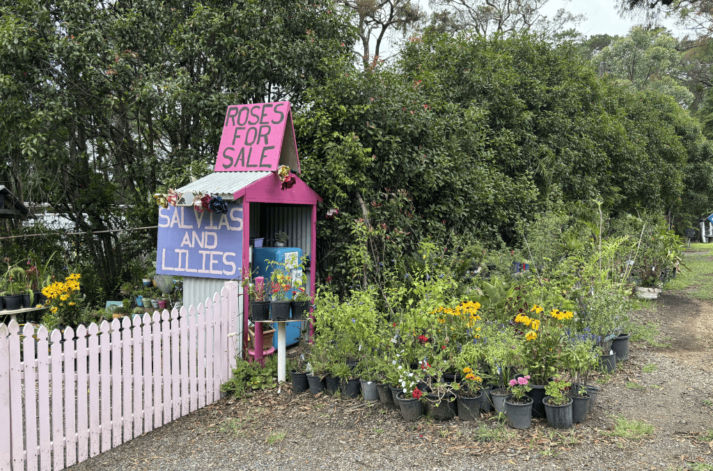 Roadside plant stalls make for a nice stops on the way to Blue Mountains Botanic Garden Mount Tomah.