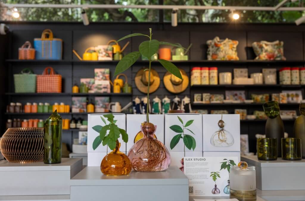 Shop shelves filled with homewares, vases, and plants