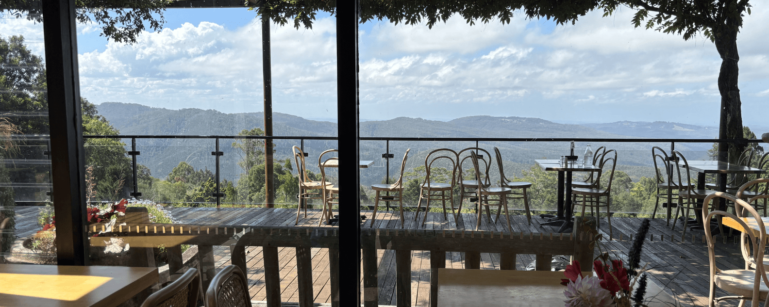 The views from Bell Bird Cafe and the deck at the back of the visitor centre of Blue Mountains Botanic Garden Mount Tomah are stunning.