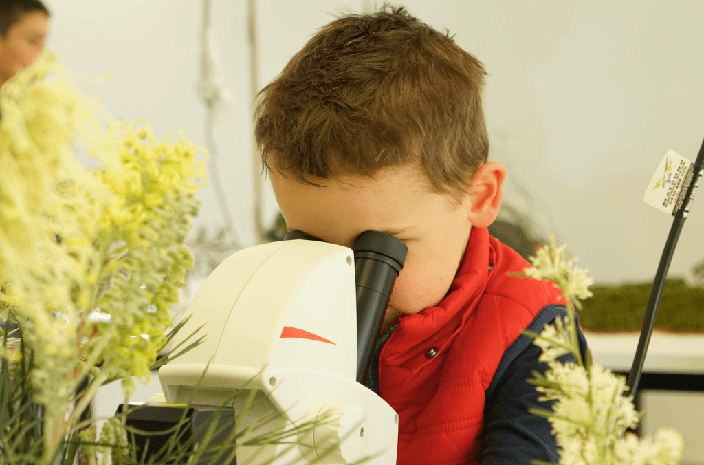 education-primary-kid-looking-through-microscope-1024x676.png