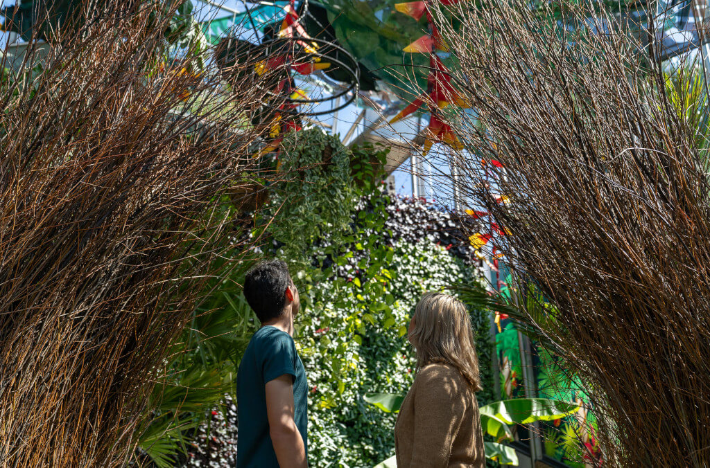 events-alchemy-of-a-rainforest-couple-enjoying-experience-1024x676.jpg