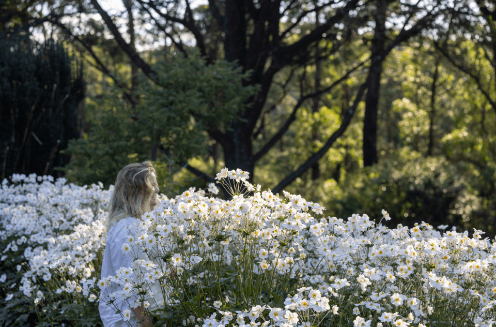 A woman looking at a field of white flowers