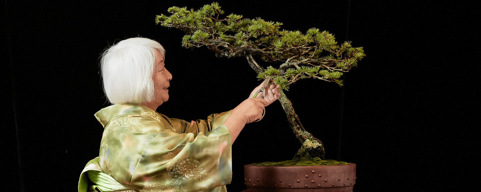 Bonsai- WorkshopF&F-Event-Banner - 1584x633 