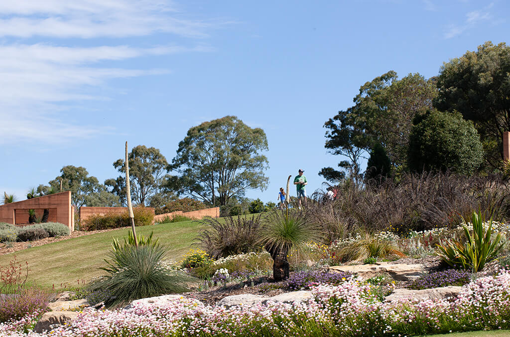The top of the Connections Garden offers views and a uniquely beautiful spot to picnic.
