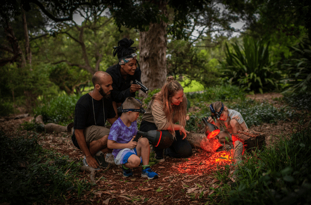 Twilight Garden tour - people looking at animals at night