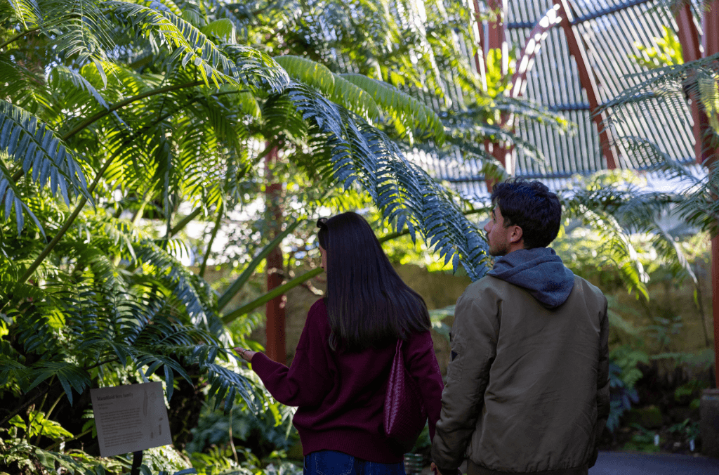 couple in fernery