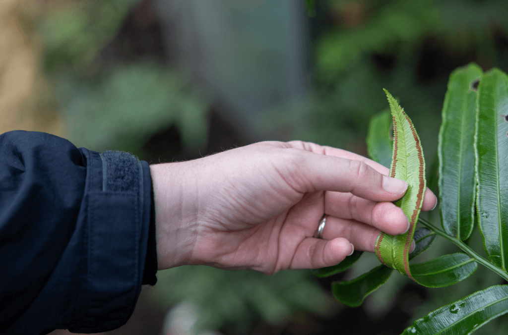 Hands interacting with spore