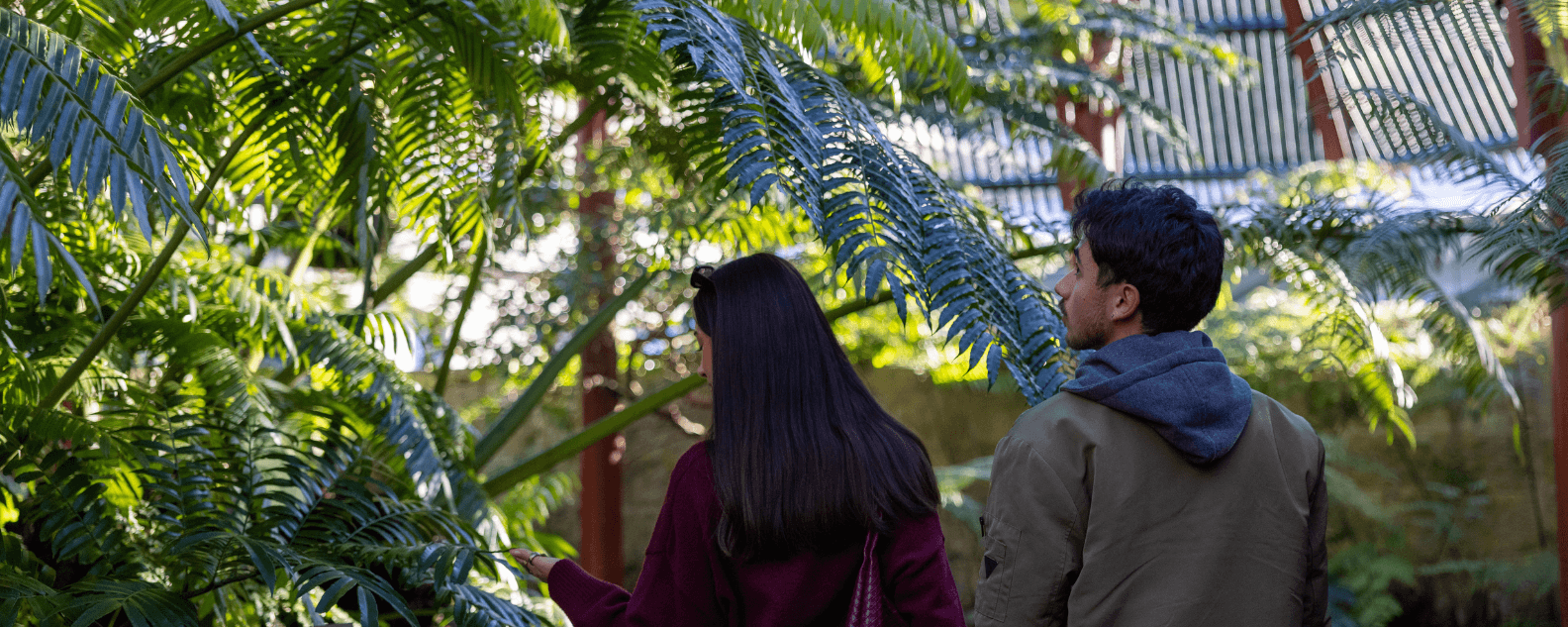 Couple in the Fernery