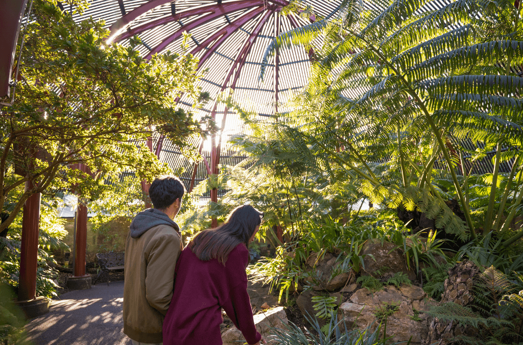 Visitors discovering the Fernery