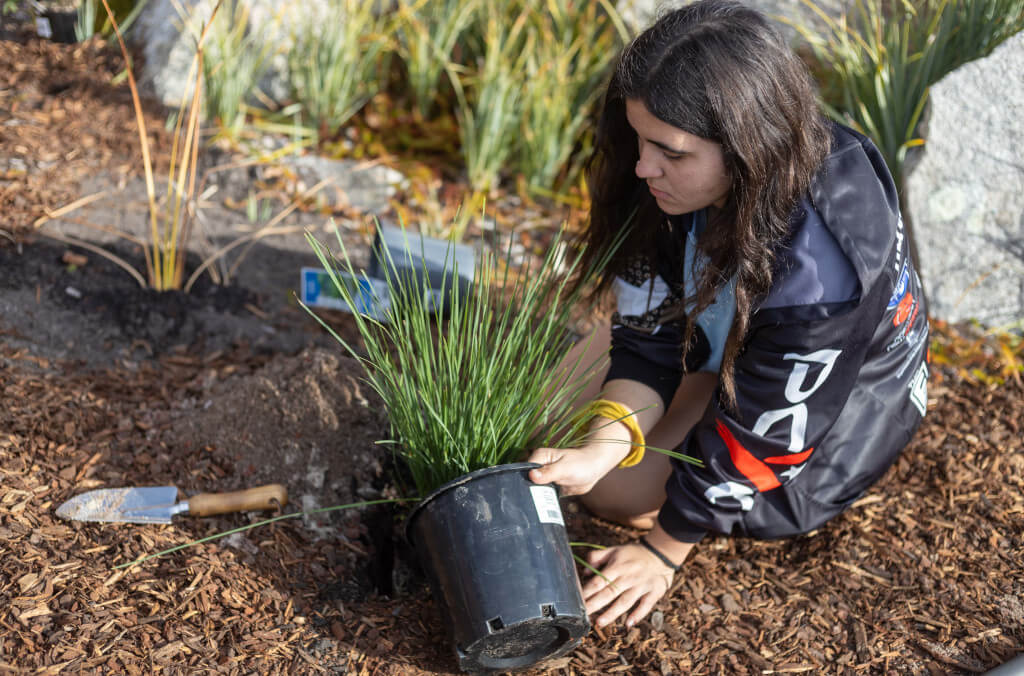 stories-community-greening-1024x676.jpg