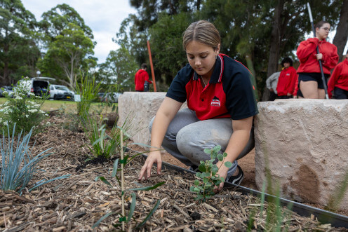 stories-student-planting-thumbnail-496x372.jpg