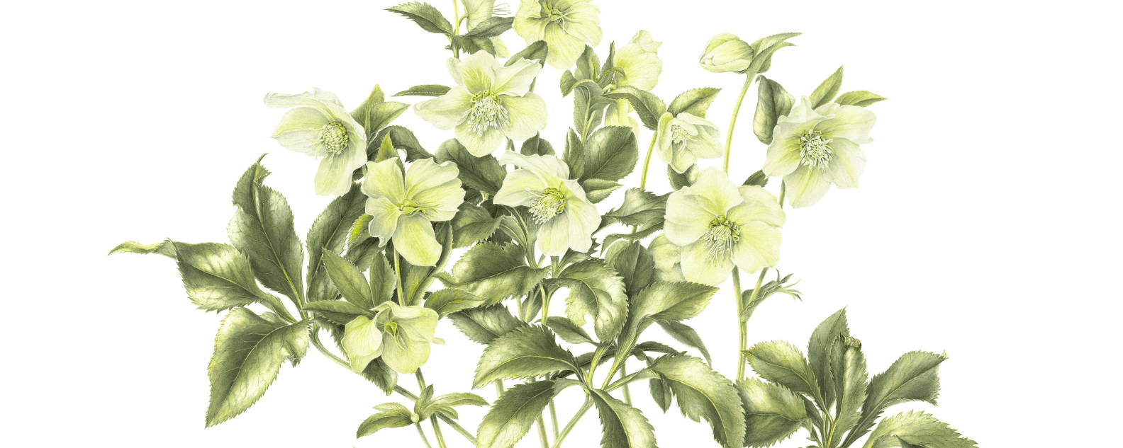 Beverly Allen Artwork