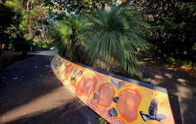A renewed Gadigal storyline for Cadi Jam Ora First Nations precinct of Royal Botanic Garden Sydney was unveilled in 2026.
