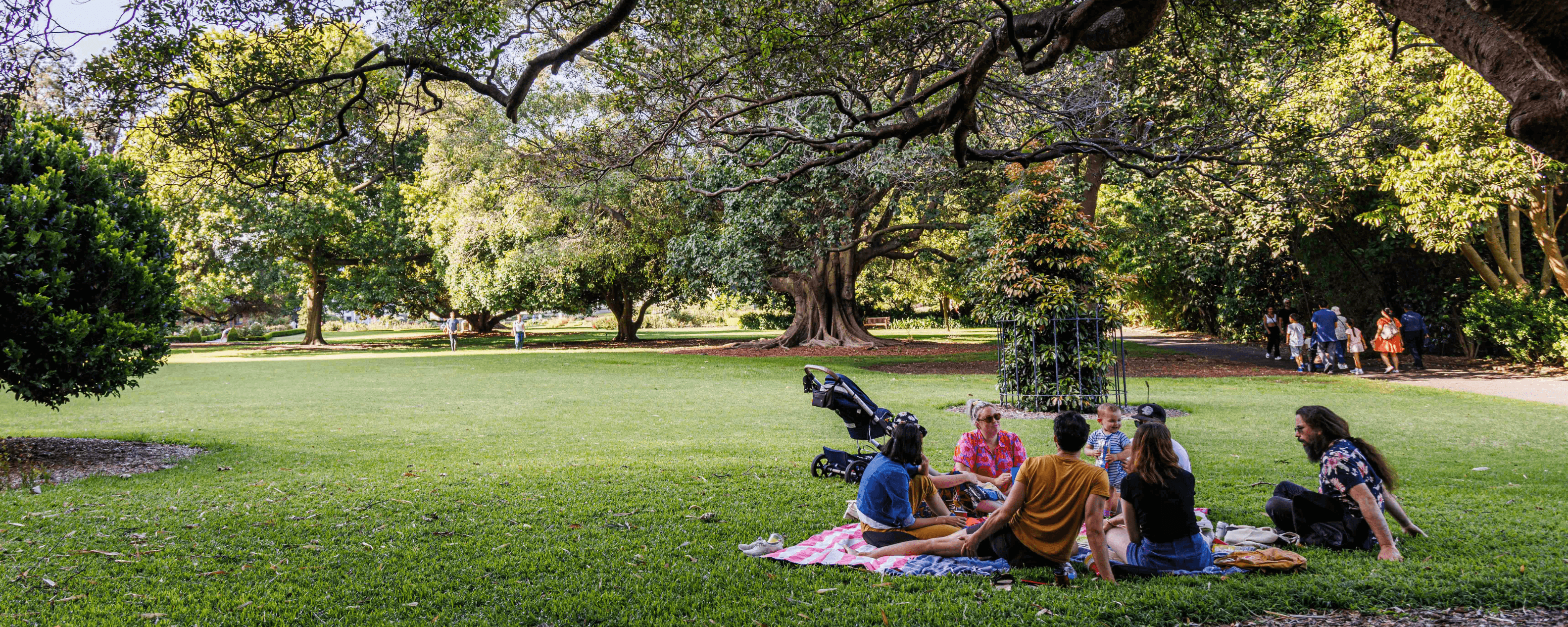 People having a picnic