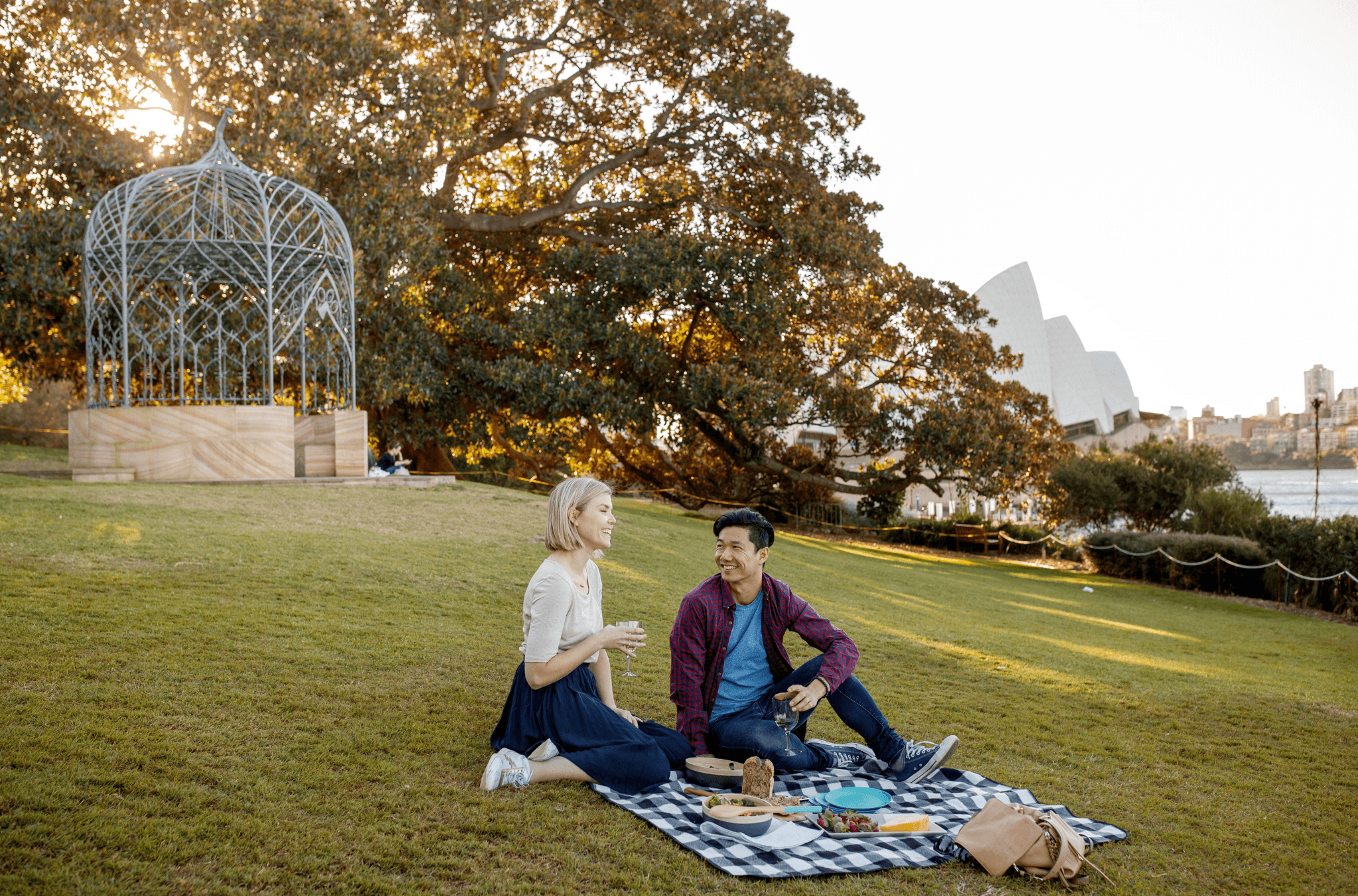Couple having a picnic