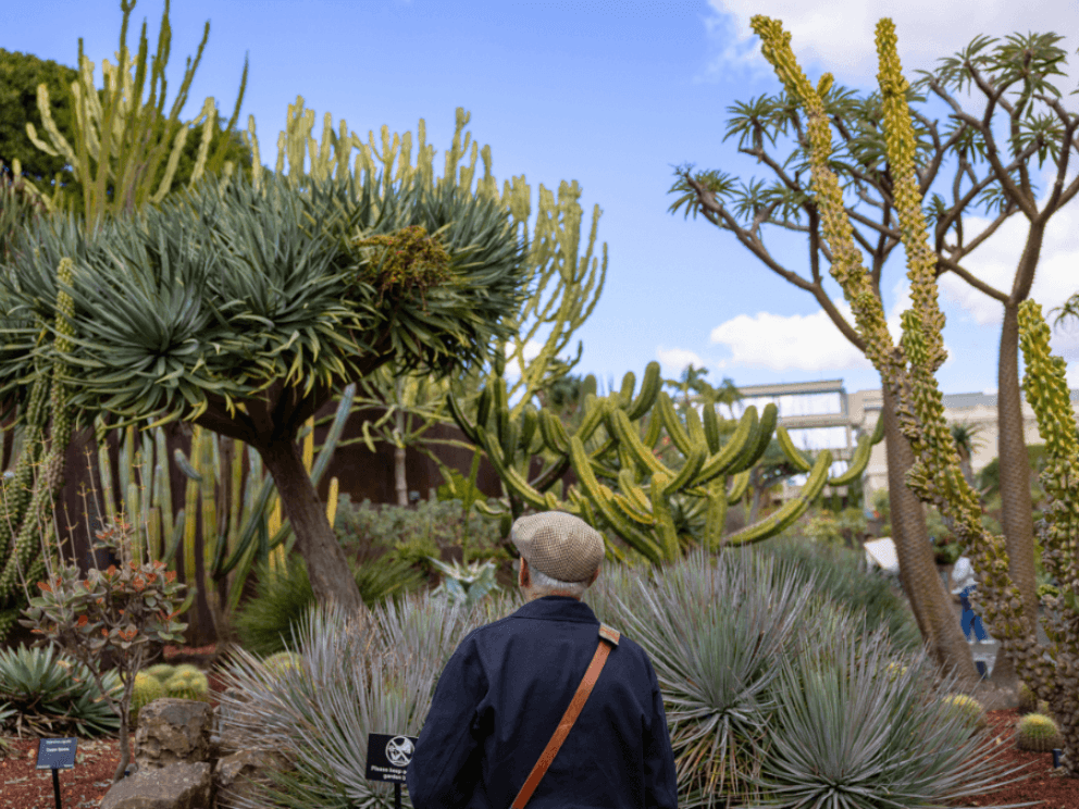 Man in Succulent Garden