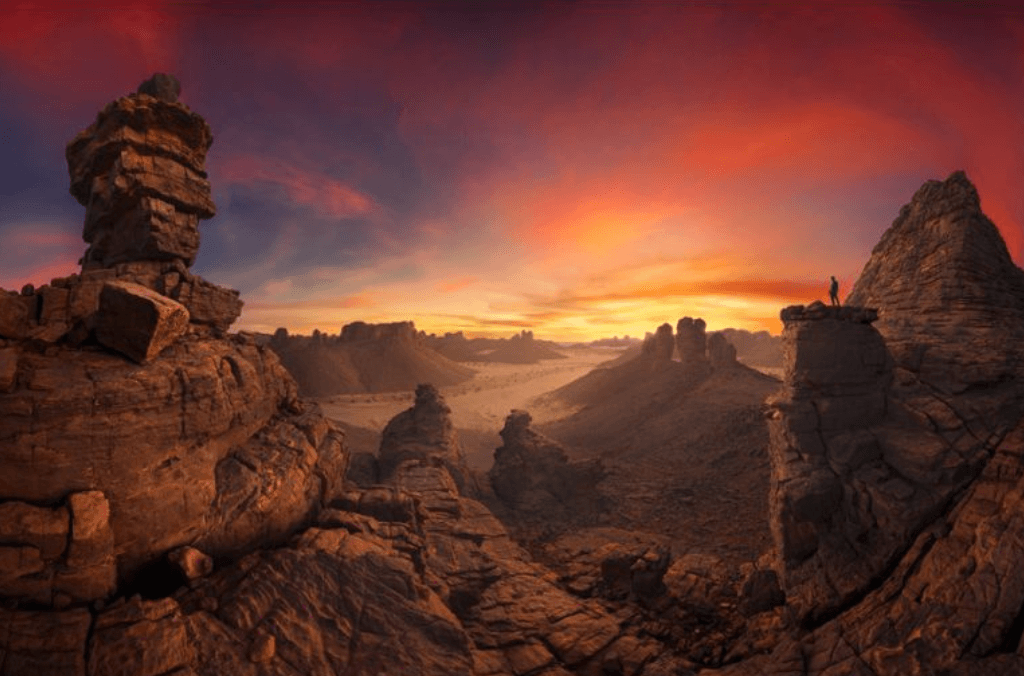 events-epson-exhibition-artwork-1024x676.png