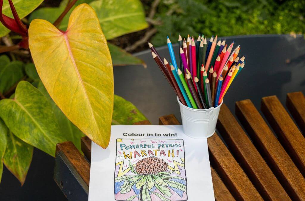 events-waratah-Enter_Shop_1024x676.jpg
