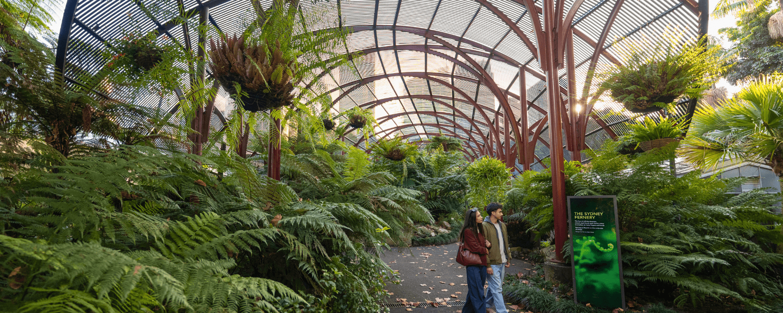 web-fernery-couple-hero-1584x633.png