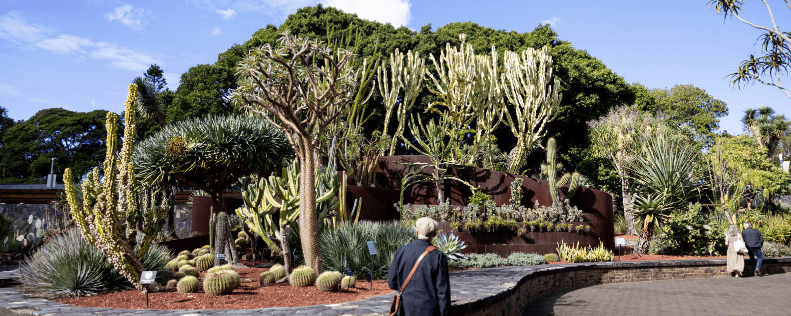 web-succulent-garden-hero-1584x633.png