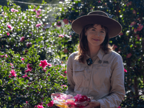 A women holding a camellia