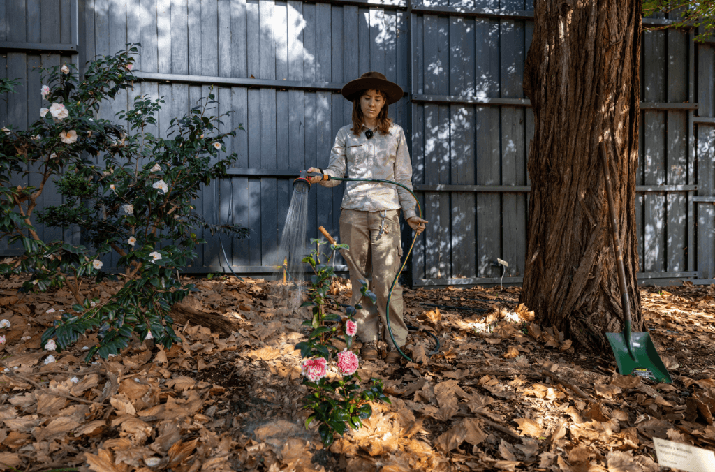 A woman standing watering a plant in the garden