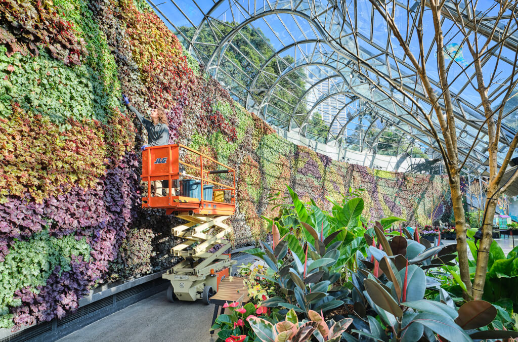 dev-calyx-wall-1024x676.jpg