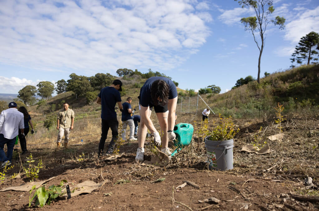 development-Annan-Corporate-Volunteering-Epson-1024X676.jpg