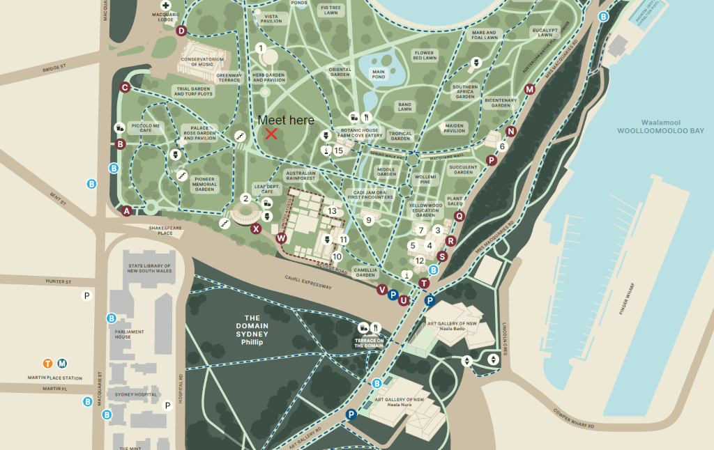 education-meet_here-oak-tree-1024x676.png