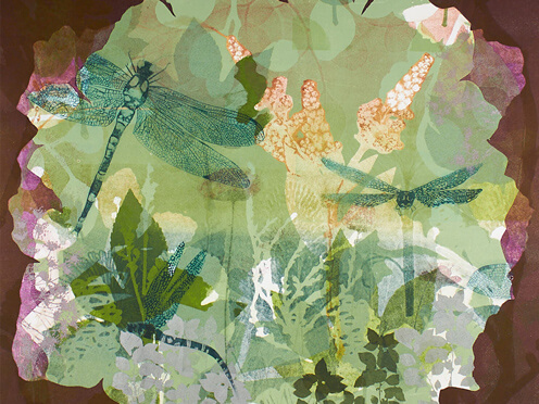 events-14-artists-thumbnail-496x372.jpg