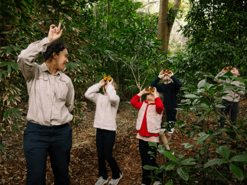 events-ABG-wildlife-explorer-thumbnail-496x372.png
