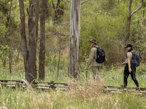 events-Cumberland-Plain-Bushwalk-thumbnail-496x372.png