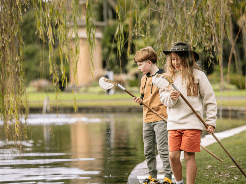 events-kids-dip-netting-thumbnail-496x372.png