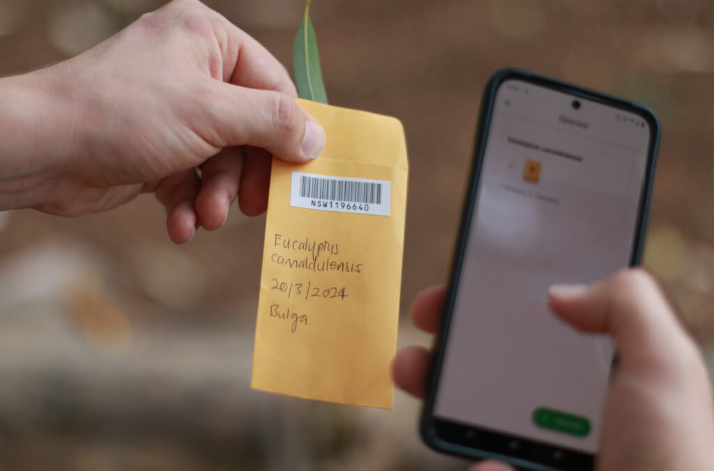 news-barcode-phone-close-up-Tricia-Hogbin-1024x676.JPG