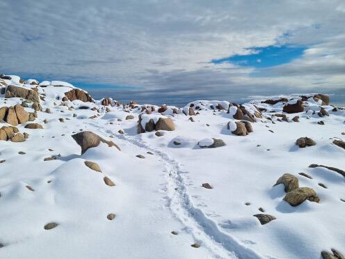 stories-antartic-thumbnail-496x372.jpg