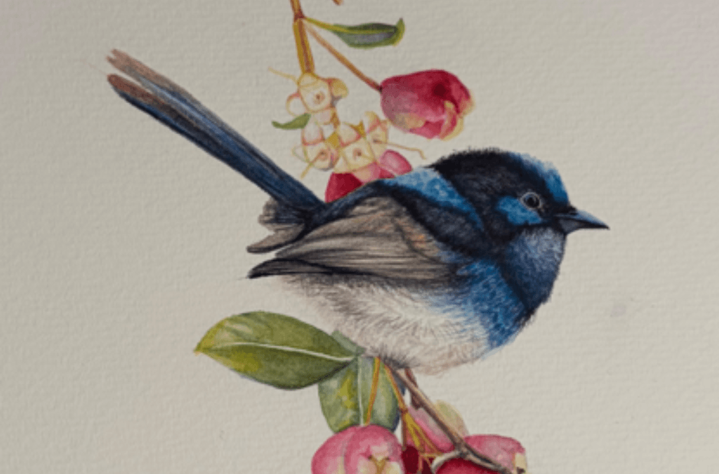 The art of seeing. Watercolour in the garden-F&F-Event-Banner- 1024x676
