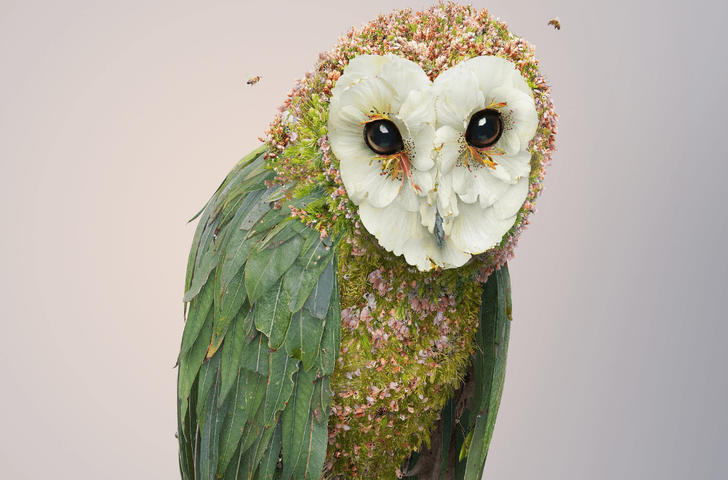 events-owls-1024x676.png